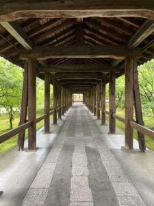 森京